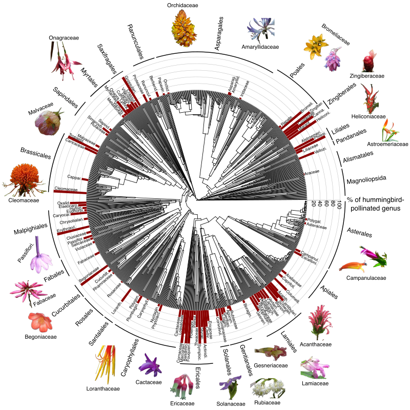 Ongoing research projects 2 Ongoing research projects