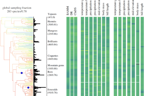 Barreto 2024 proc b hb