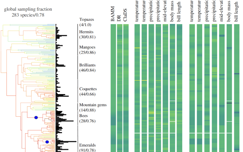 Barreto 2024 proc b hb