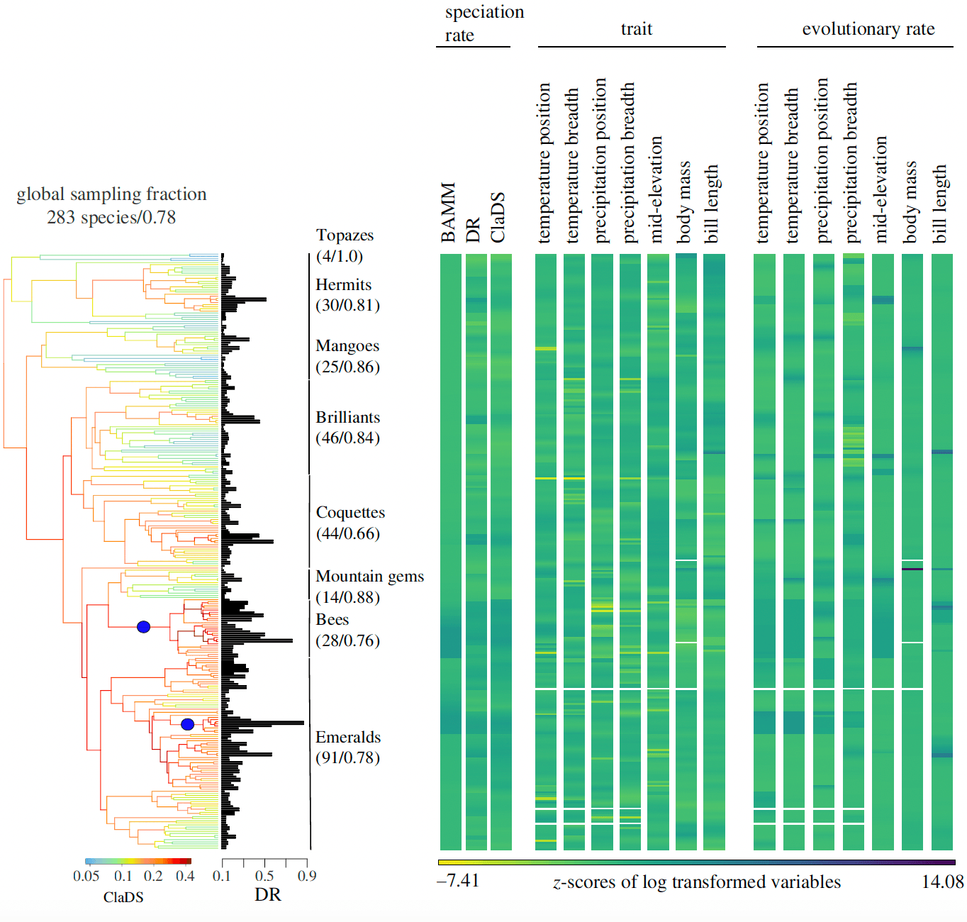 Barreto 2024 proc b hb