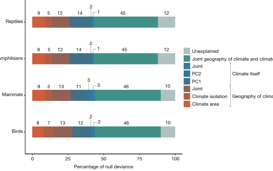 The geography of climate and the global patterns of species diversity 1 Coelho