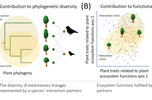 Dehling et al 2022 e1743943484925