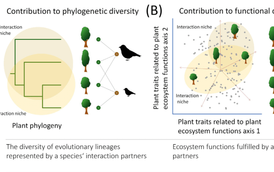 Dehling et al 2022 e1743943484925