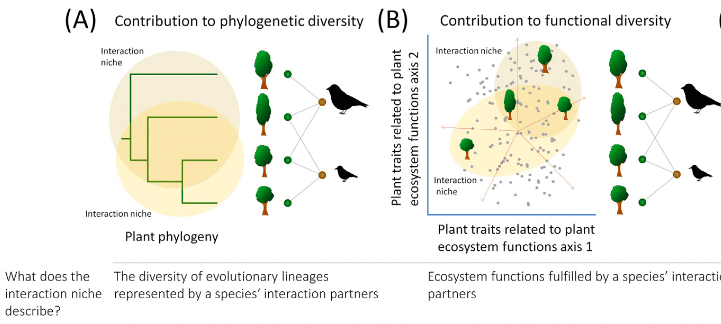 Dehling et al 2022 e1743943484925