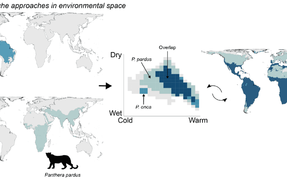 Biodiversity Patterns Redefined in Environmental Space 1 Biodiversity Patterns Redefined in Environmental Space